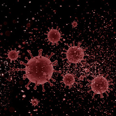 Coronavirus