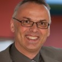 Professor Stefan Scholtes